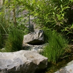 imgp0182